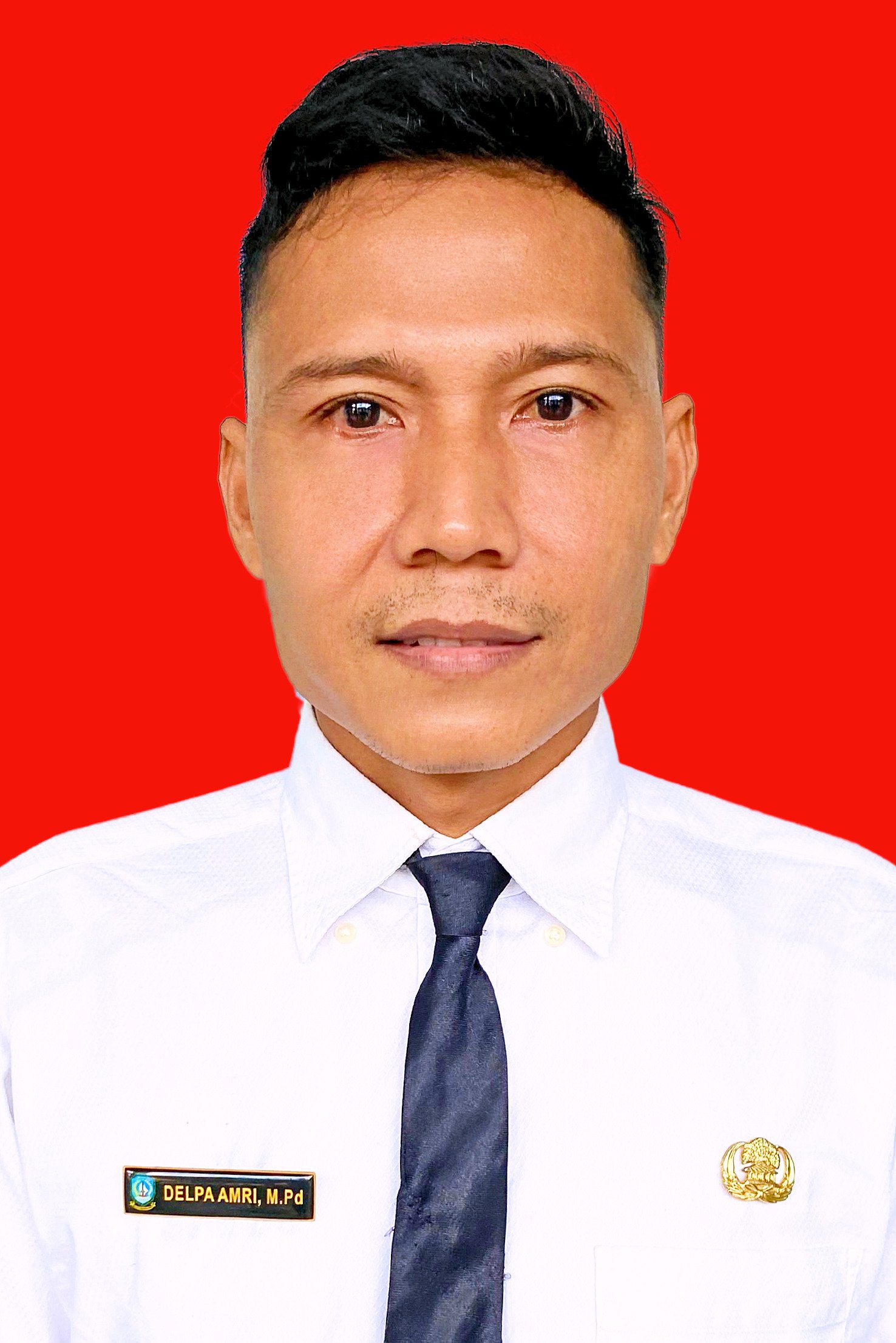 DELPA AMRI
